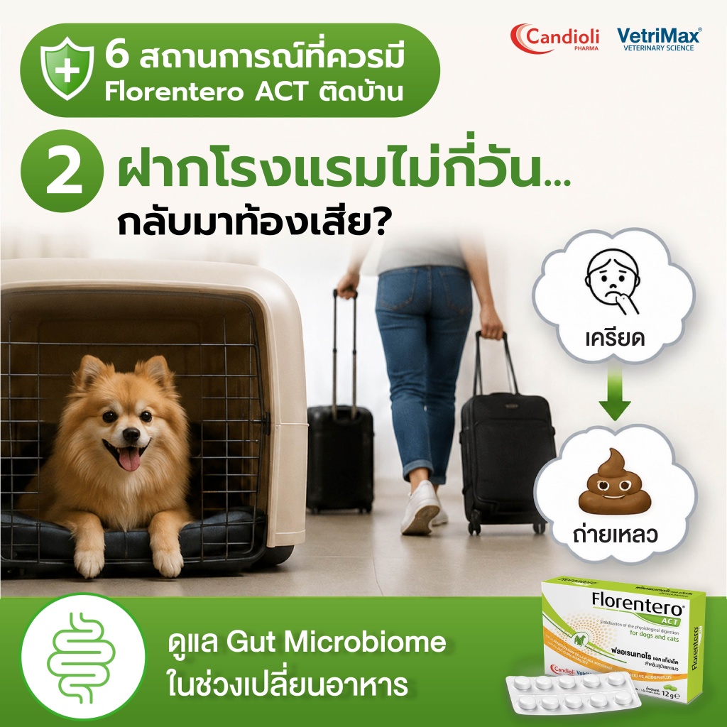 Florentero ACT 6 สถานการณ์_P 2.jpg